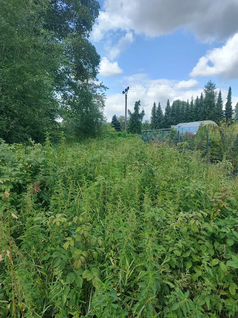 Zarostlý pozemek s hustou přerostlou vegetací podél oplocení před zásahem FOX Garden.