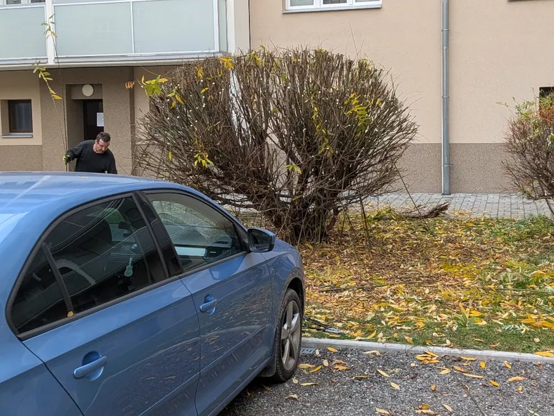Pracovník FOX Garden při úpravě keřů před bytovým domem v Hradci Králové.
